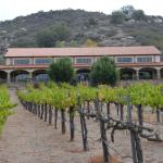 TourdSoCal_1_0344 (September 12, 2015)